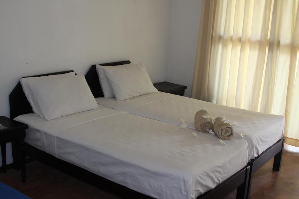 Ceylonica Beach Hotel Negombo Ngoại thất bức ảnh