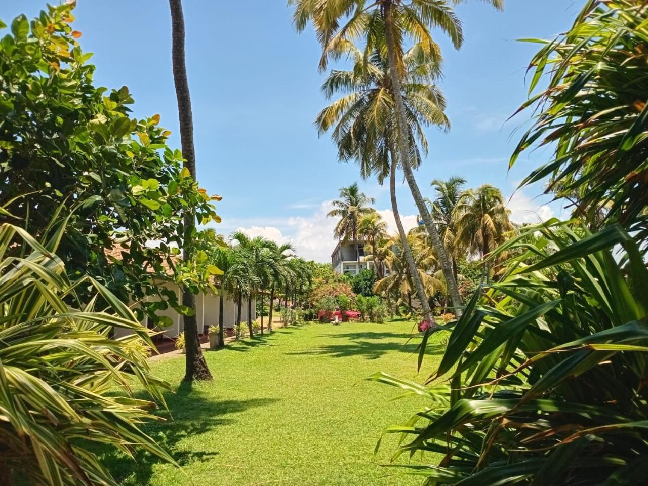 Ceylonica Beach Hotel Negombo Ngoại thất bức ảnh