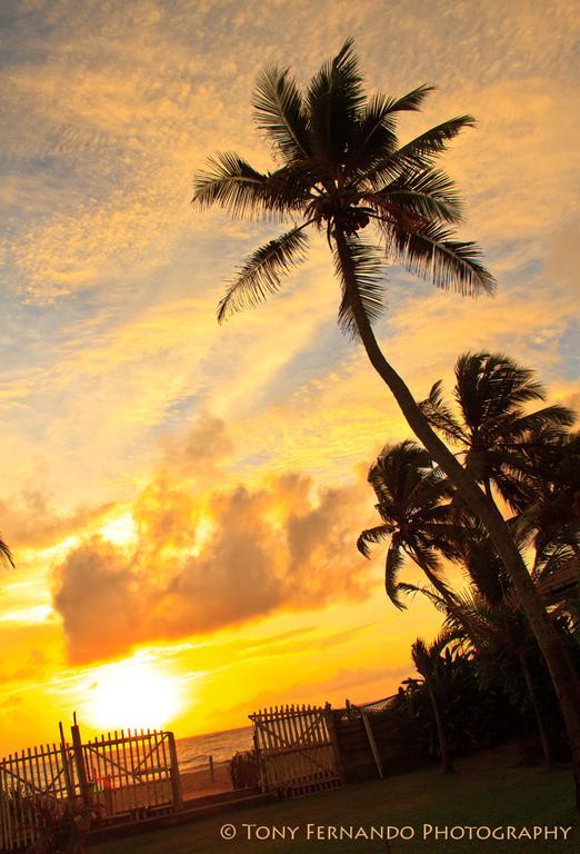 Ceylonica Beach Hotel Negombo Ngoại thất bức ảnh
